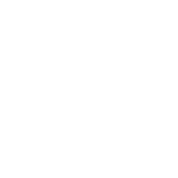 High quality icon